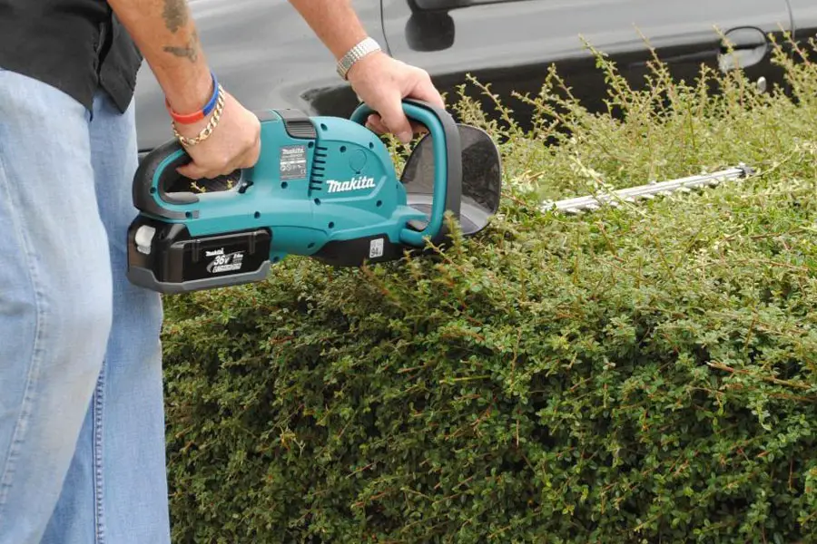 best rated hedge trimmers