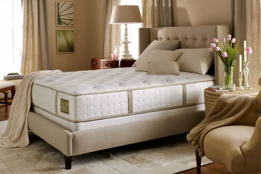 top 5 rated mattresses for 2024