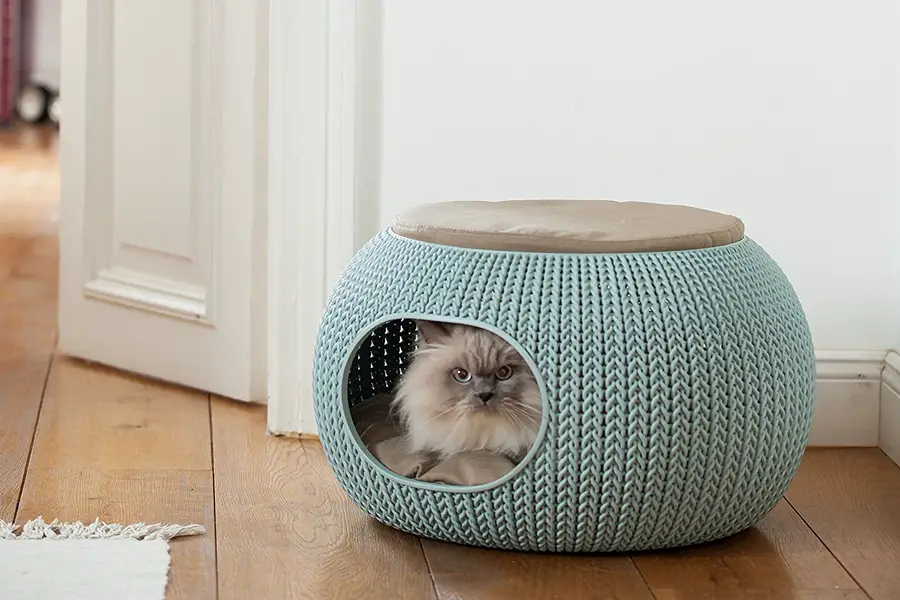 teal cat bed
