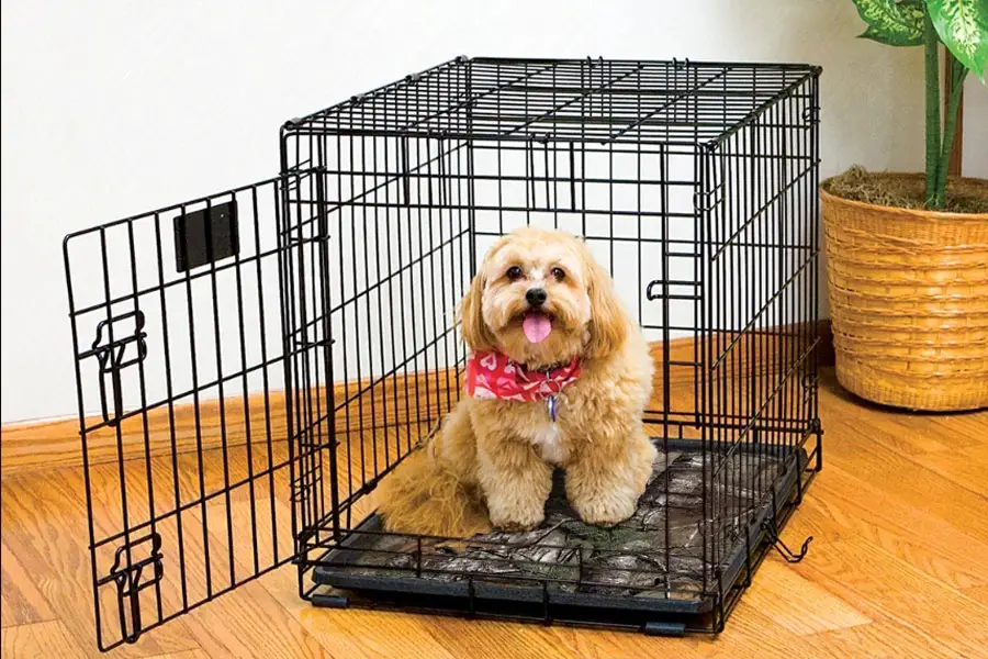 best dog crate pad