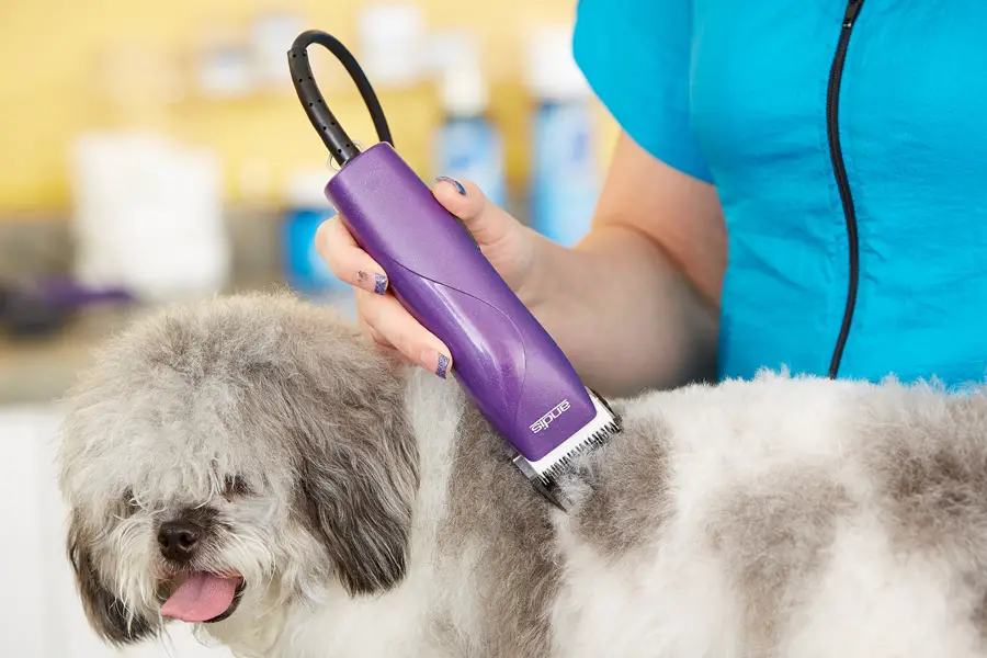 2022 Best Dog Hair Clippers Reviews Top Rated Dog Hair 