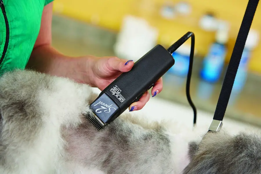 top rated dog clippers
