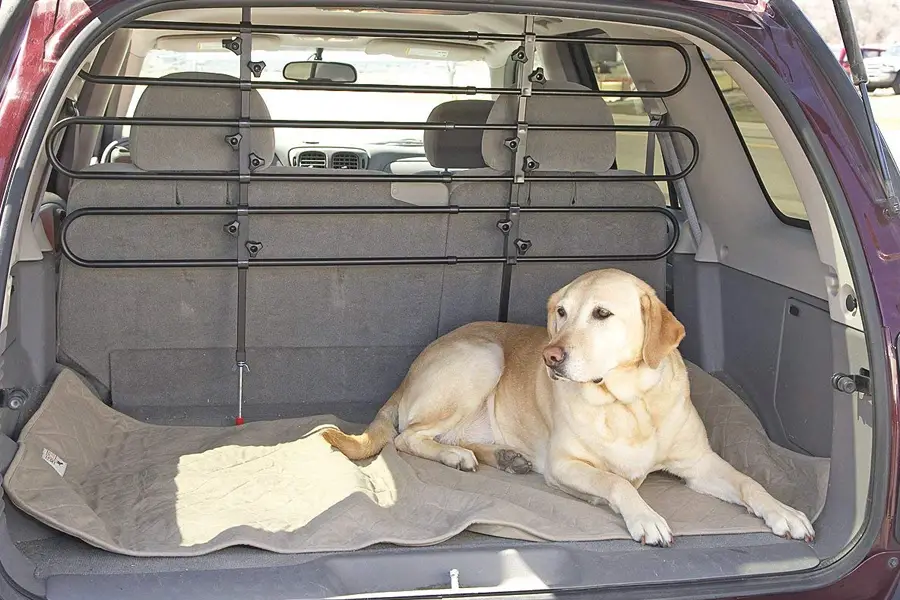 front seat dog guard