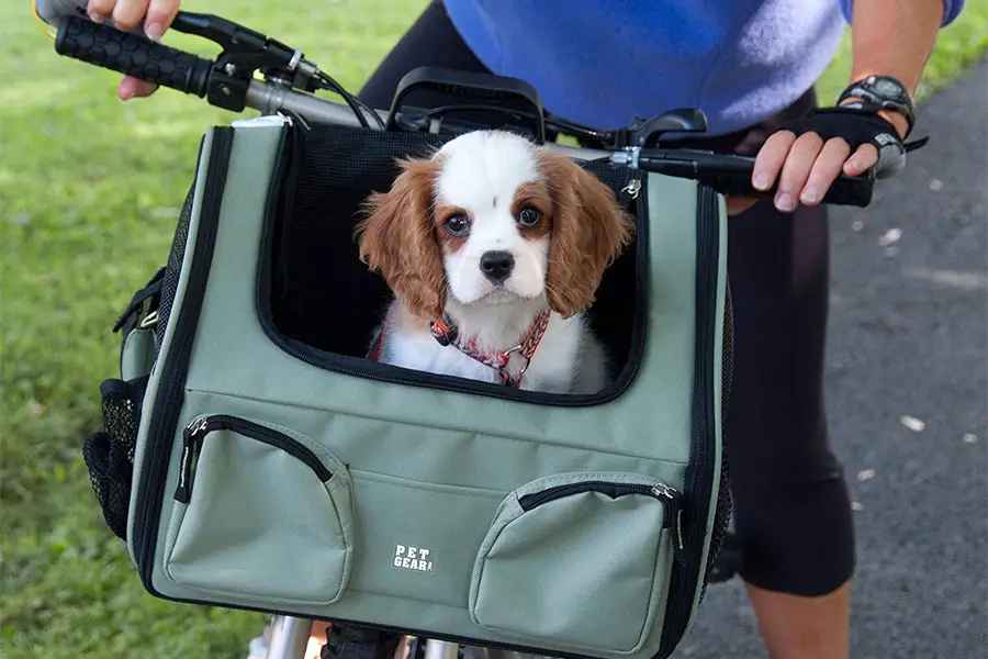 dog carrier for bike