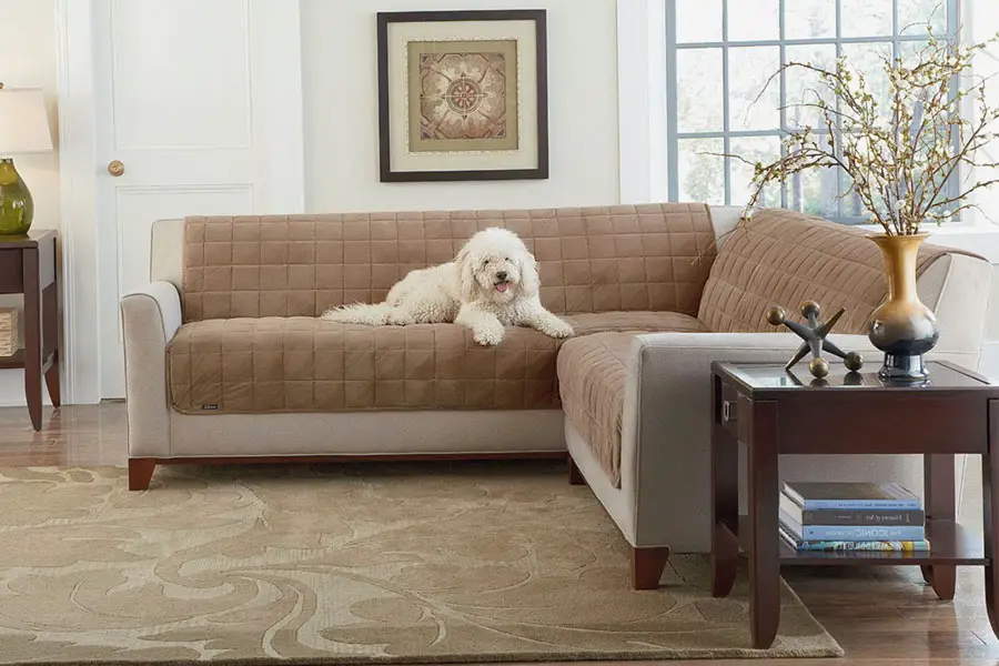 best couch protector for dogs
