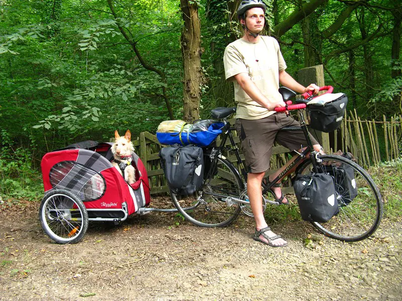 dog bike carrier uk