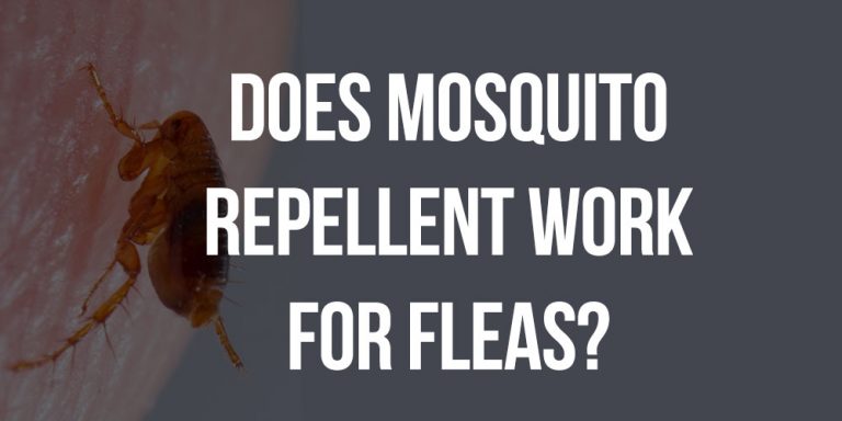 Does Mosquito Repellent Work On Gnats