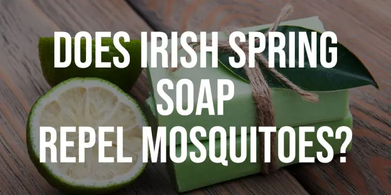 Does Irish Spring Soap Repel Mosquitoes? - BestConsumerReviews