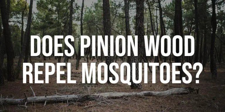 does-pinion-wood-repel-mosquitoes-bestconsumerreviews