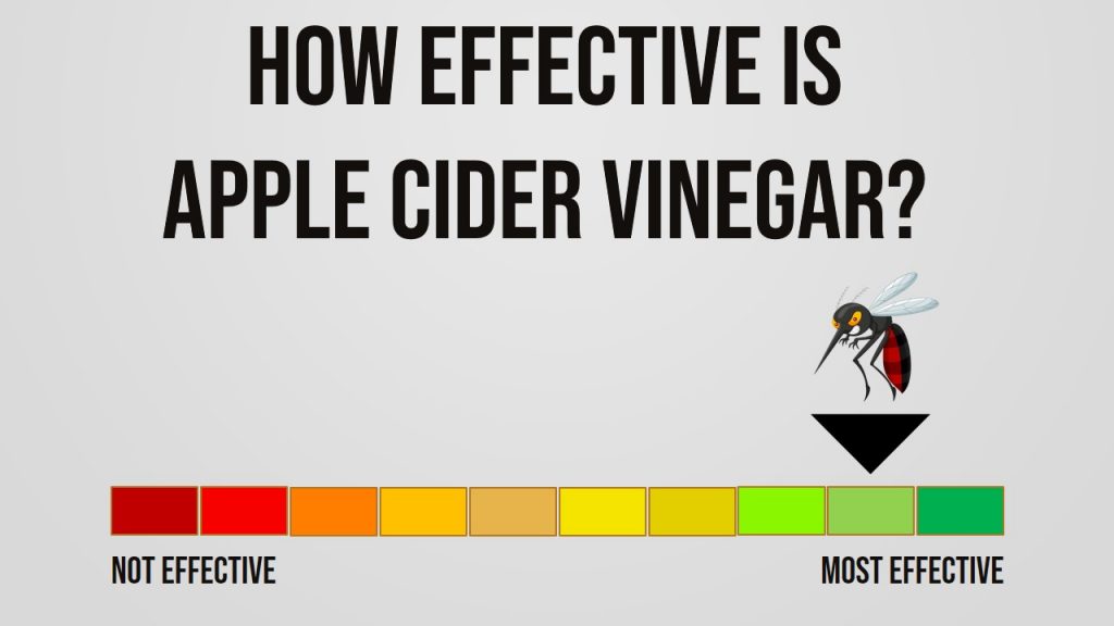 Does Apple Cider Vinegar Repel Mosquitoes? - BestConsumerReviews